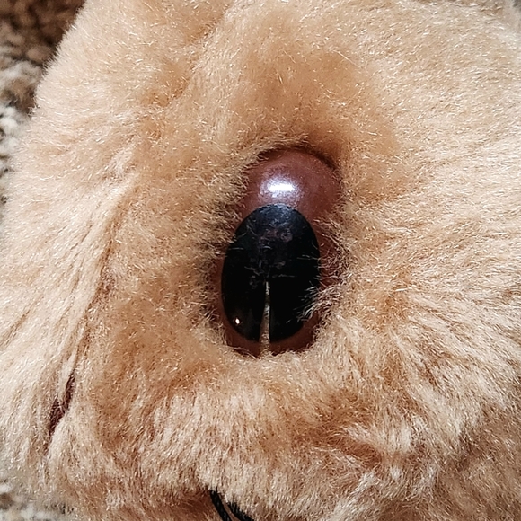 VTG Eden Beatrix Potter Mrs. Josephine Rabbit Stuffed animal - Picture 11 of 13